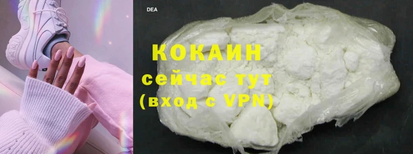 дмт Магас