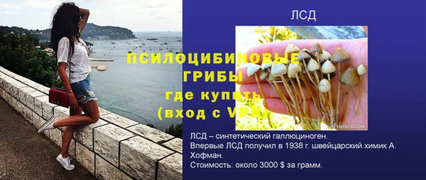 Альфа ПВП Ладушкин