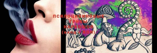 прущие крисы Лабытнанги