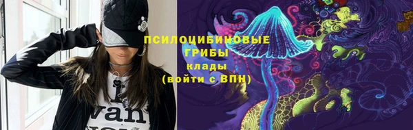 прущие крисы Лабытнанги