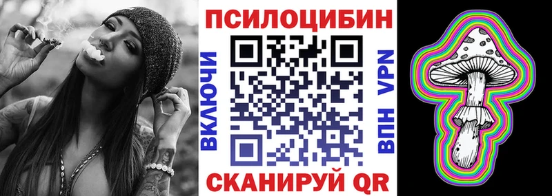 где купить наркоту  Нерчинск  Псилоцибиновые грибы Magic Shrooms 